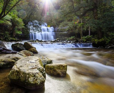 A Tour Down Under to Tasmania